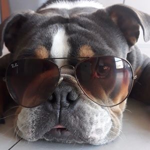 Meet your Posher, Jacob